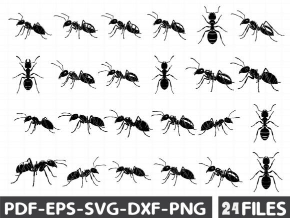 Ant Clipart Review
